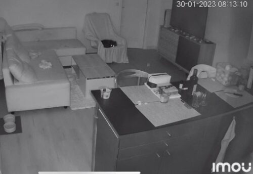 Imou Ranger Pro 2K (4MP) Caméra Surveillance WiFi Intérieure 360° BabyPhone Alarme et Audio Bidirectionnel photo review