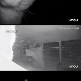 Imou Rex Dual 3K+2K - Premium Dual-Lens Baby & Hunde Kamera photo review