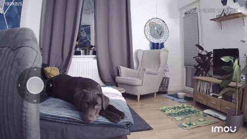 Imou Ranger Pro 2K - 360° WLAN Kamera Innen mit Babyphone photo review