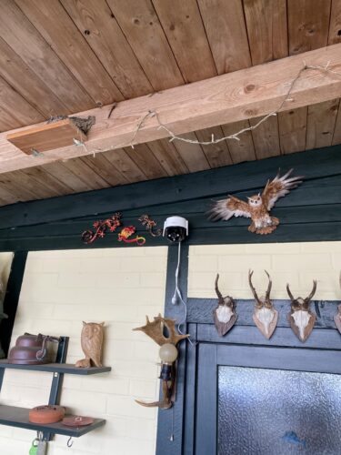 Imou Cruiser 2K - 3MP PTZ Überwachungskamera Außen IP66 photo review