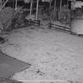 Imou Rex 3K Duo Dual-Kamera – 360° PTZ + Fix, 6MP, KI-Erkennung, IP66 photo review