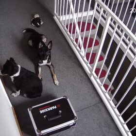 Imou Ranger Pro 2K - 360° WLAN Kamera Innen mit Babyphone photo review