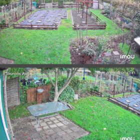 Imou Rex 3K Duo Dual-Kamera – 360° PTZ + Fix, 6MP, KI-Erkennung, IP66 photo review